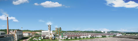 ͼ������������ҵ�������޹�˾�ܲ� ����ɷŴ�