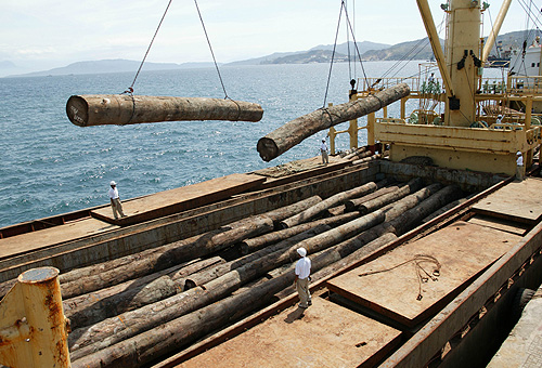 ͼ������˹ľ�� ����ɷŴ�