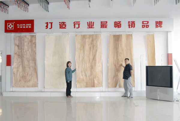 图：单板展厅 点击可放大