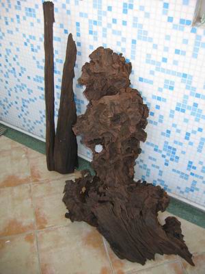 ͼ����������ľ��ͷ����Ȼ����ԭ�ġ���ǧ����أ�һ���ؼ����գ���ʾ�����ǻ� ����ɷŴ�