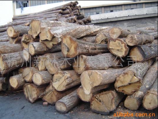 ͼ��yuan ����ɷŴ�