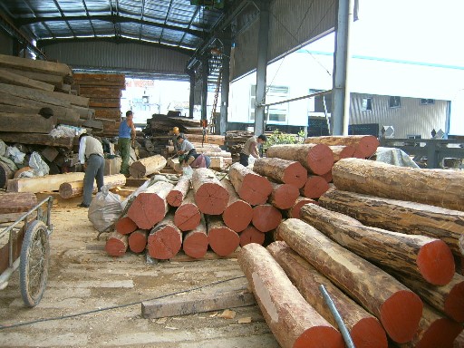 ͼ��������Բľ ����ɷŴ�