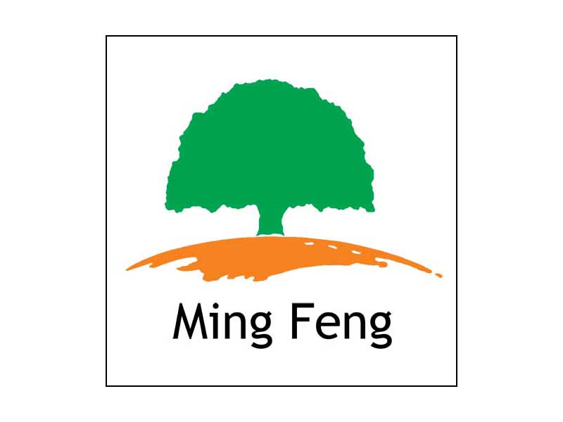 ͼ������Logo ����ɷŴ�