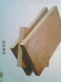 ͼ������ģ�� ����ɷŴ�