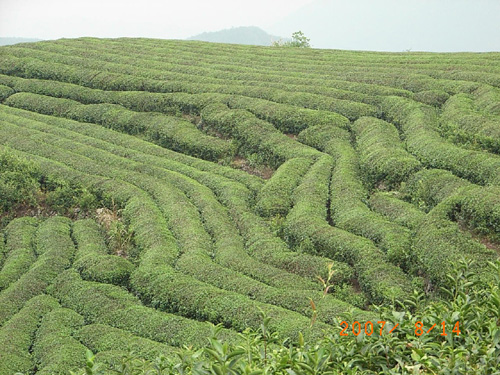 ͼ����԰ ����ɷŴ�