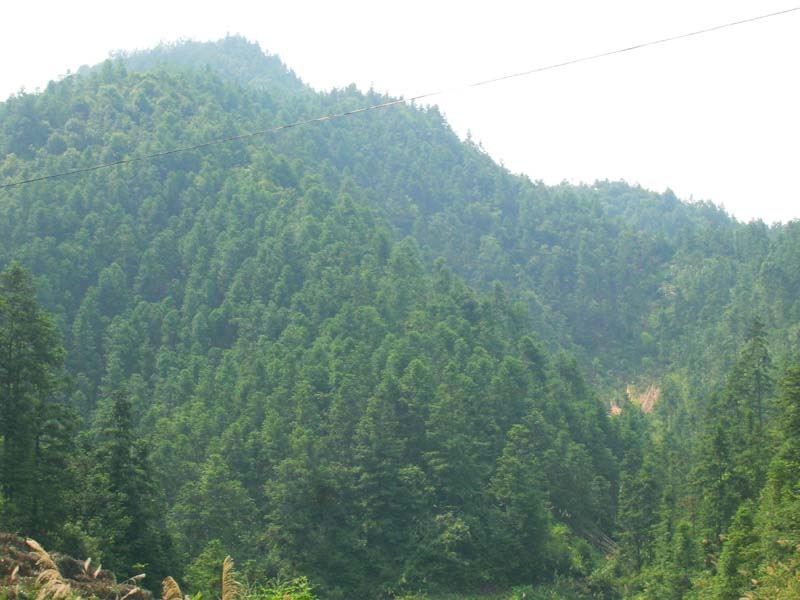 ͼ��ɽ�� ����ɷŴ�