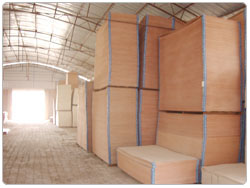 ͼ���������� ����ɷŴ�