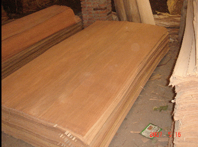 ͼ����ľ ����ɷŴ�