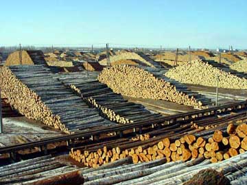 ͼ����ʤľҵ ����ɷŴ�