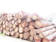 ͼ��ԭľ ����ɷŴ�