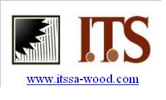 ͼ��logo ����ɷŴ�