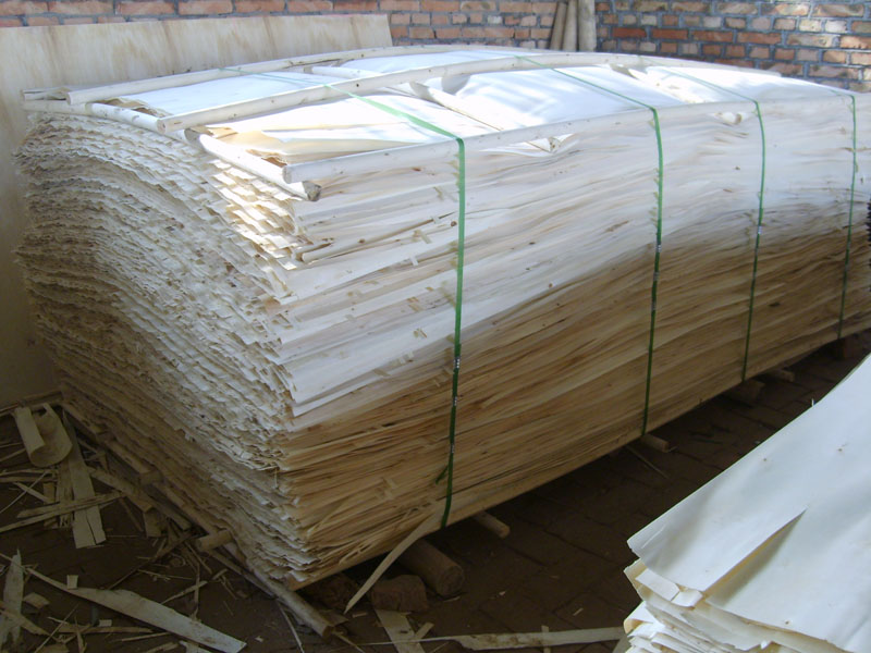 ͼ����ľƤ ����ɷŴ�