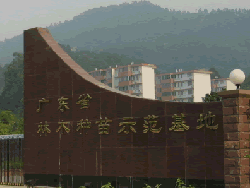 ͼ������ ����ɷŴ�