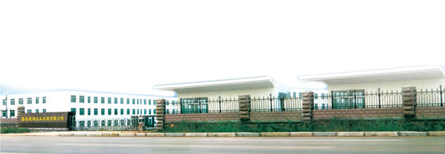 ͼ������ ����ɷŴ�