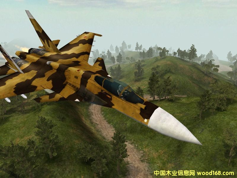 ͼ���� ����ɷŴ�