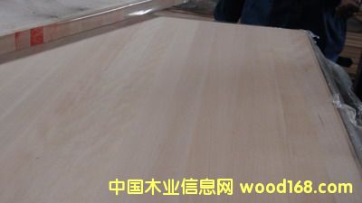 ͼ���ľֱƴ��38# ����ɷŴ�