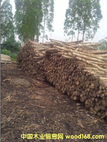 图：木头 点击可放大