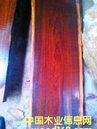 ͼճֻԭľҶ̴ֱ35--65׳2.8 ɷŴ