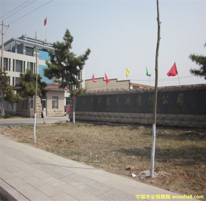 ͼ���������� ����ɷŴ�