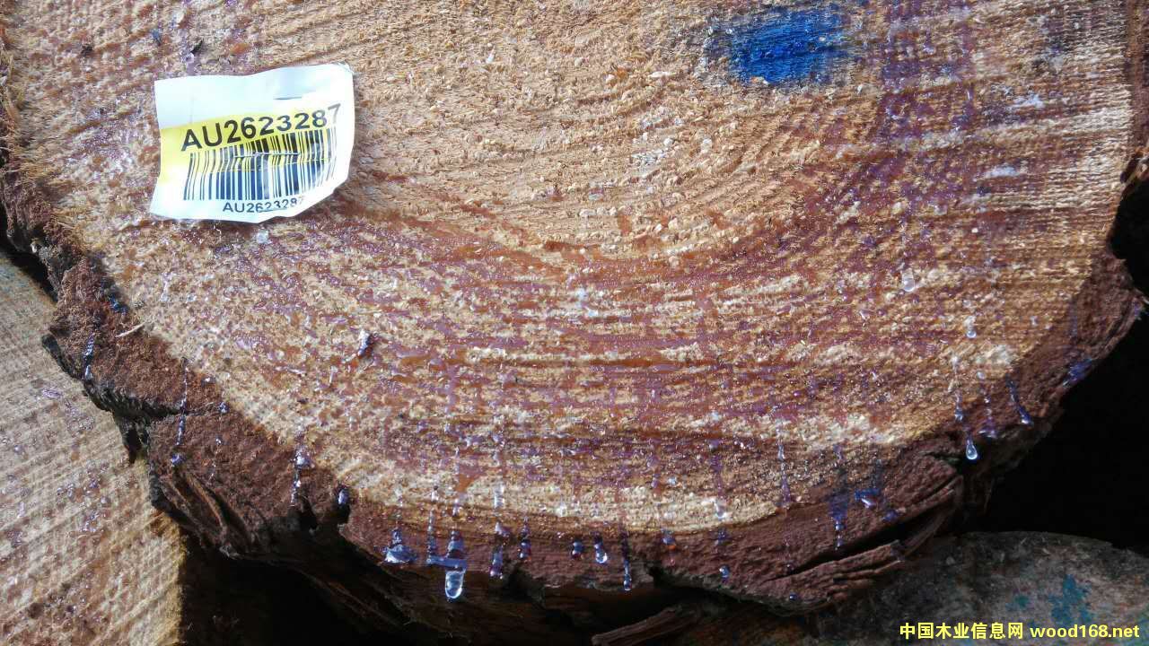 星特科木业大图片