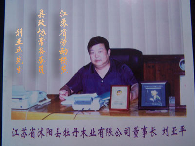 ͼ����˾���³�:����ƽ ����ɷŴ�