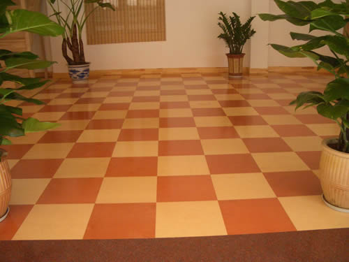 ͼ��floor show ����ɷŴ�