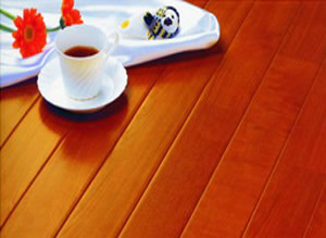 ������ľ�ذ�OA5����ϸ����