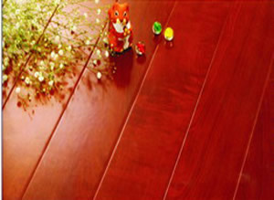 ������ľ�ذ�AA5����ϸ����