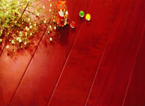 ������ľ�ذ�AA6����ϸ����