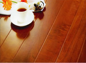 ������ľ�ذ�AA4����ϸ����