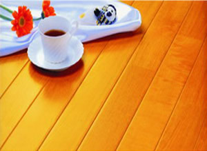 ������ľ�ذ�OA2����ϸ����