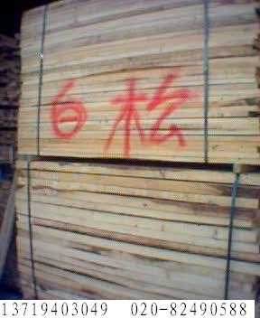 ��ľ����ϸ����