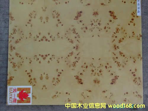 MAPPA BURL����ϸ����