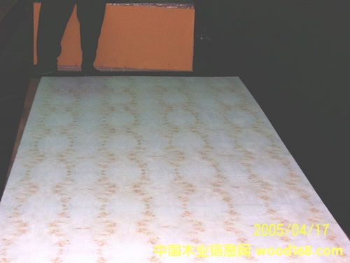 MAPPA BURL����ϸ����