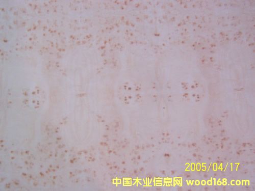 MAPPA BURL����ϸ����