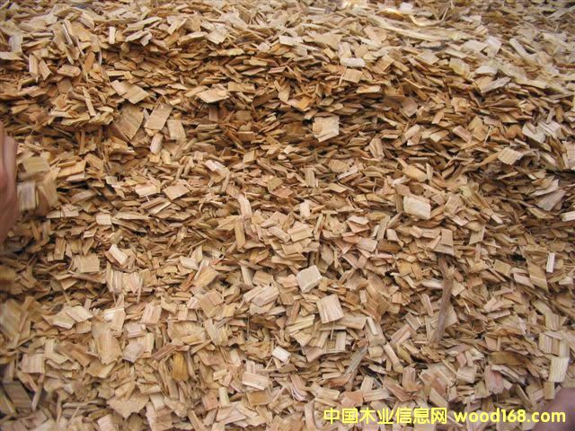 ����鿴������ľƬ�Ŵ�ͼƬ