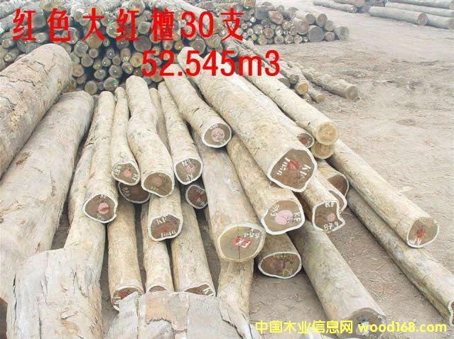 PAO ROSA          ̴ϸ