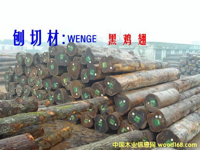 WENGE       240m3ϸ
