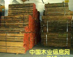 Beech ŷɽë ¹ڰľϸ