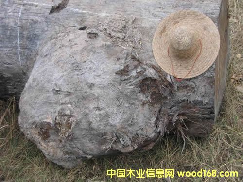 ����鿴����ľ�����Ŵ�ͼƬ