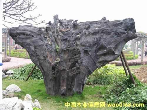 ����鿴����ľ����ͷ�Ŵ�ͼƬ