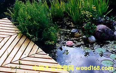 ����鿴������Ŵ�ͼƬ