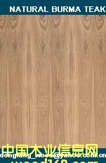 burma teak fancy plywoodϸ