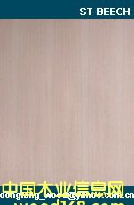 st beechϸ