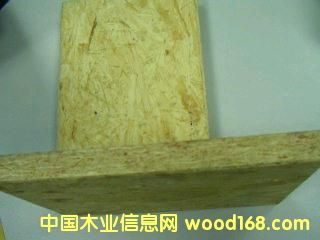 ����鿴�����ٻ���Ŵ�ͼƬ