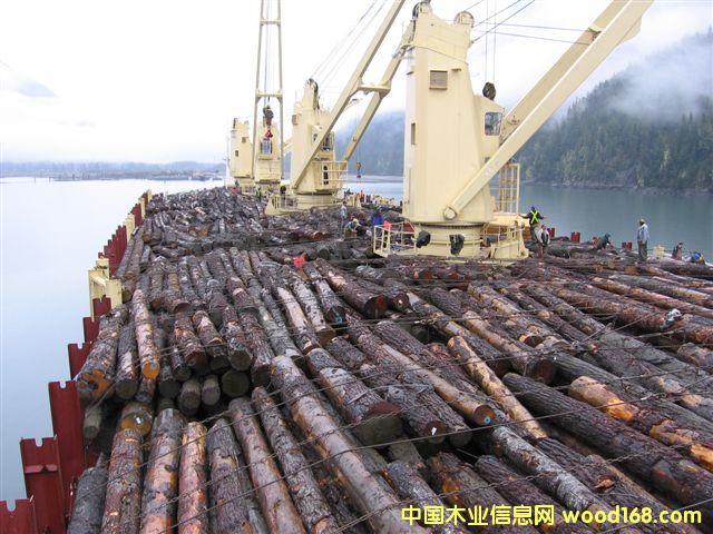 ����鿴���ô���ɼ�Ŵ�ͼƬ