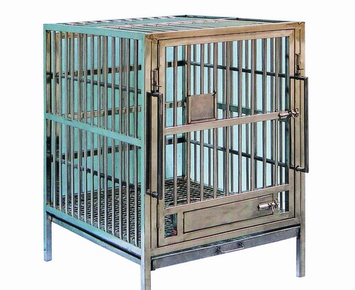 ����鿴����ֹ����Ŵ�ͼƬ