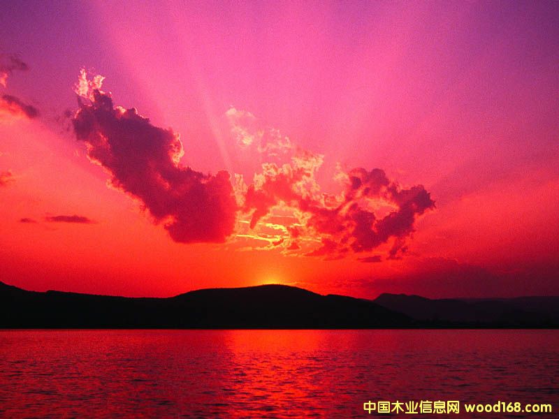 ����鿴�񽺰�Ŵ�ͼƬ