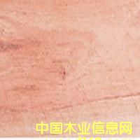 ����鿴̩������Ŵ�ͼƬ