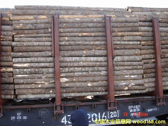 ����鿴С�����ɷŴ�ͼƬ